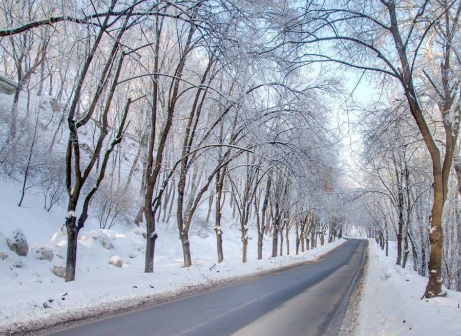Парковая дорога