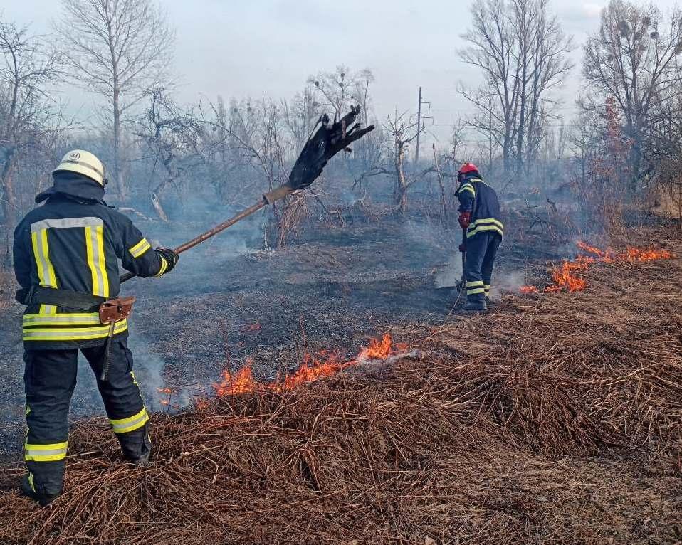 гсчс, пожар