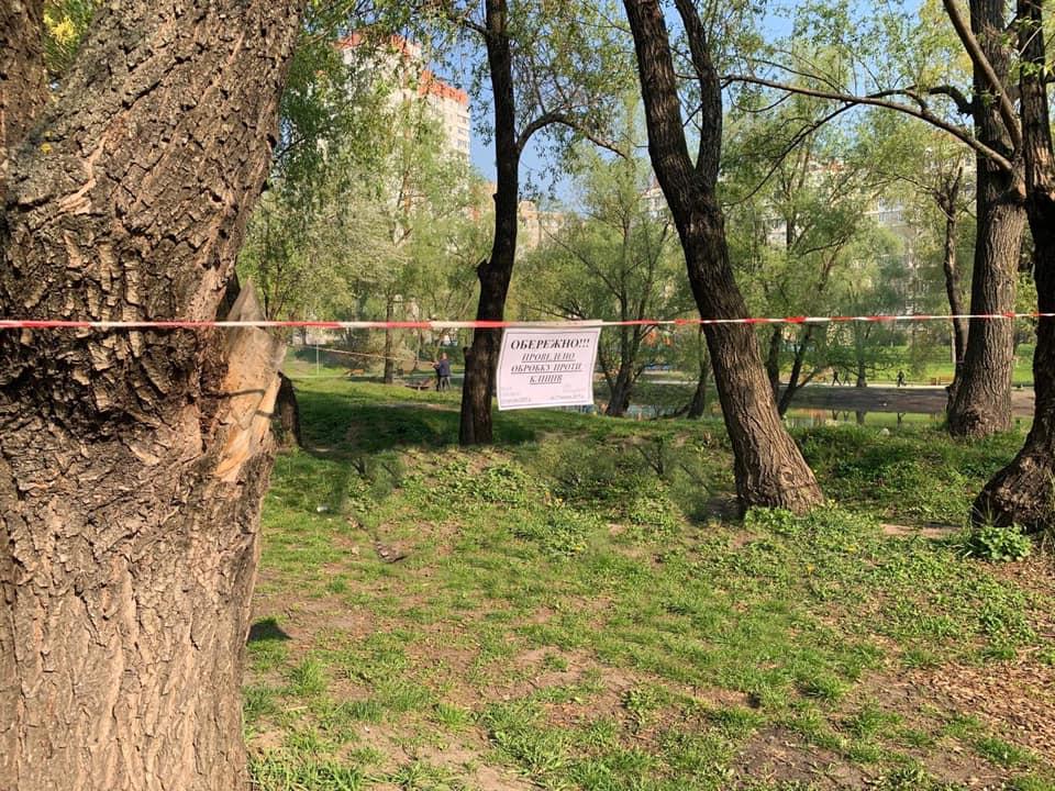 клещи, обработка