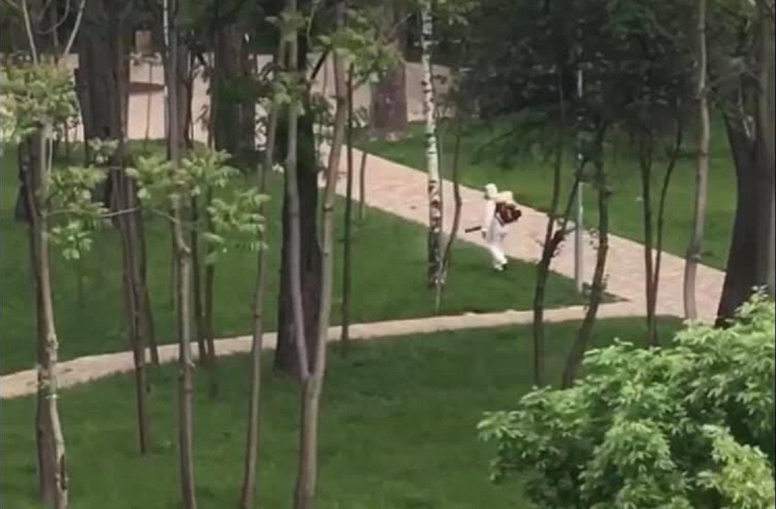 Сырецкий парк, клещи