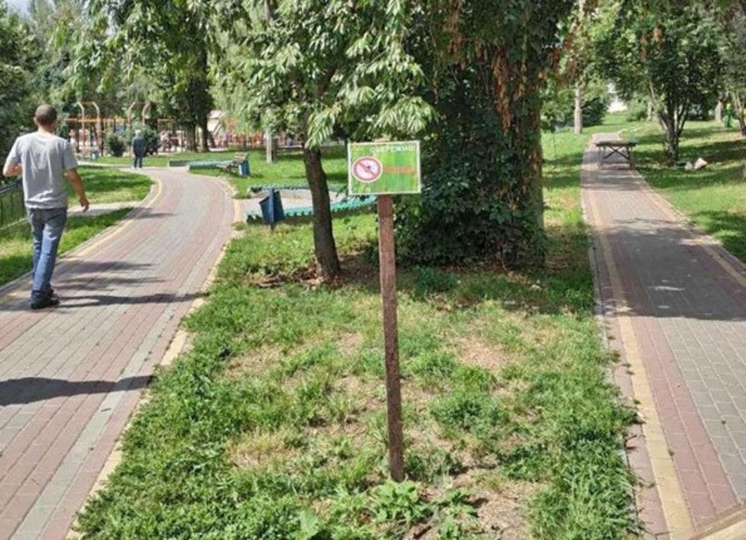 клещи