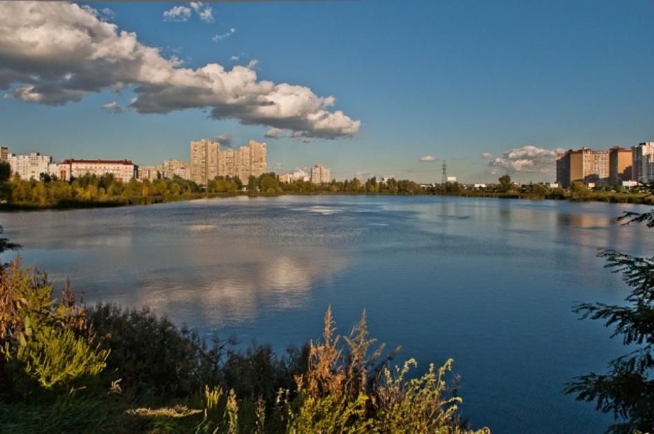 Озеро Лебединое Киев