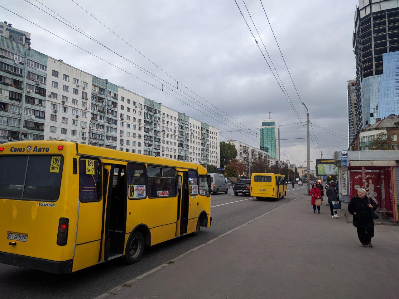 Стало известно, почему на проспекте Победы обрезали уличные фонари