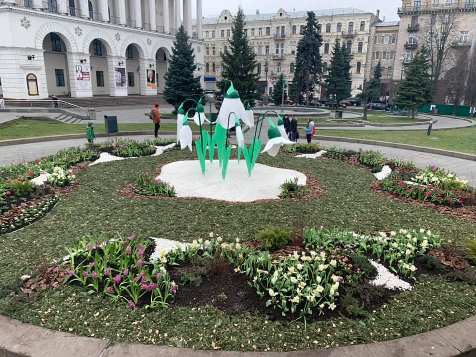 гипсовые подснежники, майдан