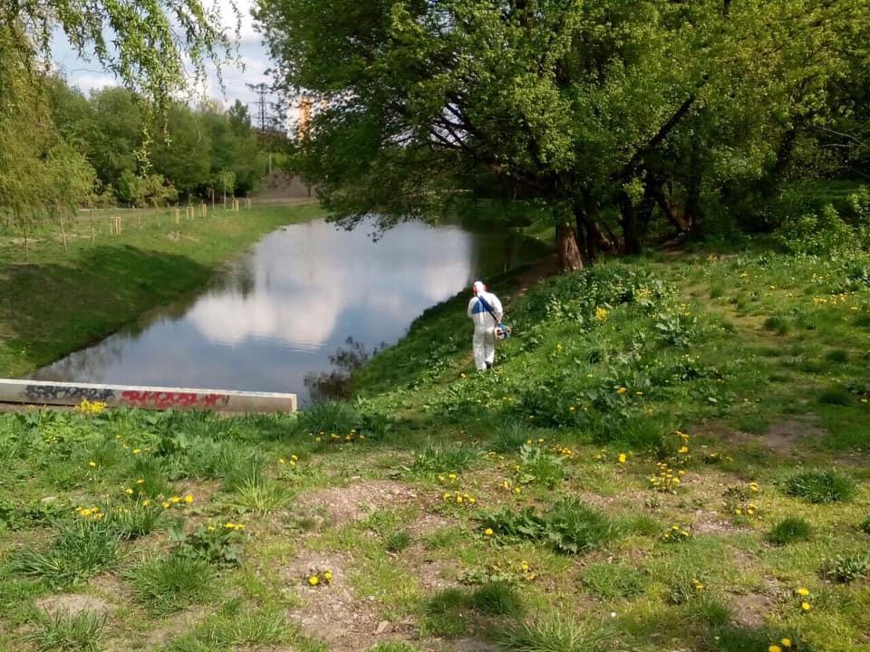 обработка против клещей
