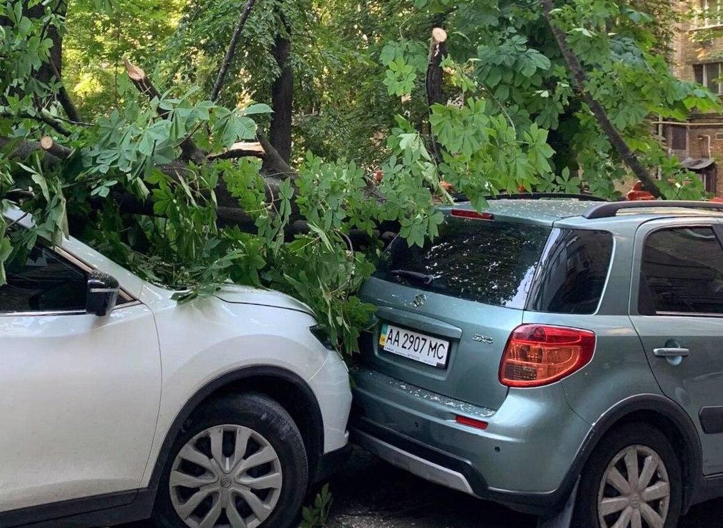 Другий день поспіль в Києві падають дерева – пошкоджено кілька автівок
