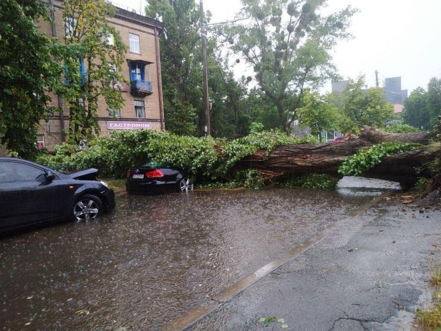 Київ затопило, в центрі попадали дерева (ВІДЕО)