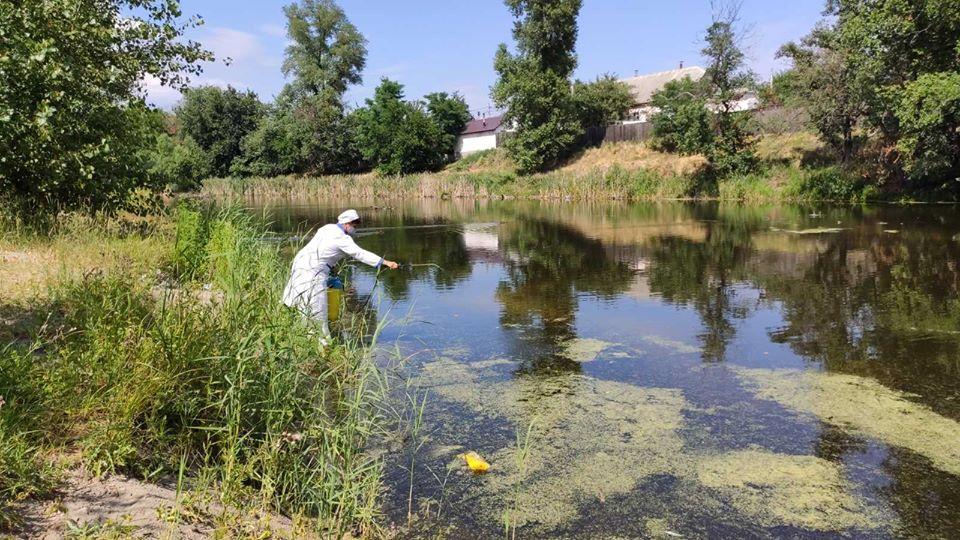 обробка берегів водойм препаратами