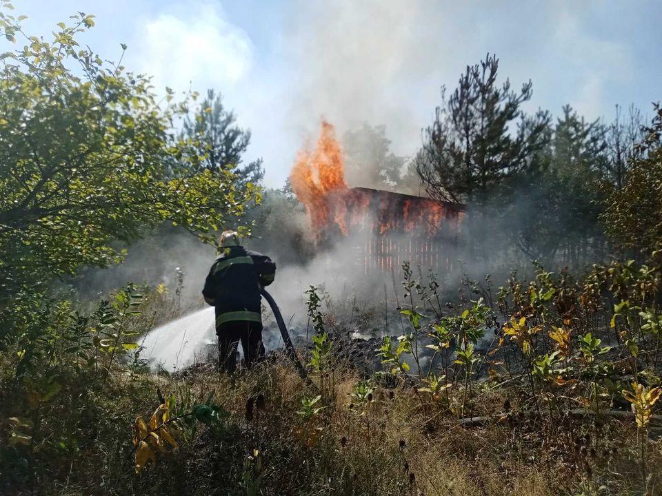 пожежа, ліс, трава