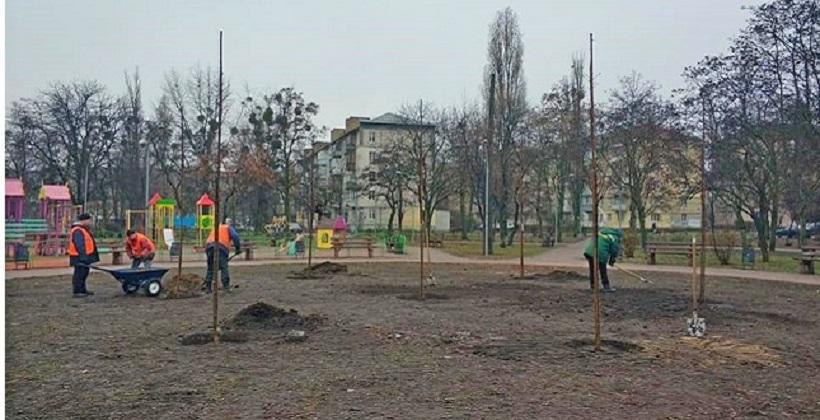 У сквері Дніпровського району висадили 12 молодих кленів