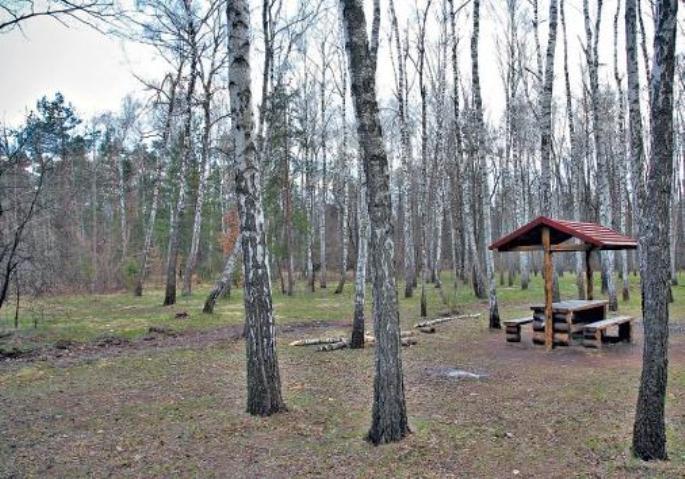 Що буде із захаращеною зоною відпочинку “Берізка” на Воскресенці
