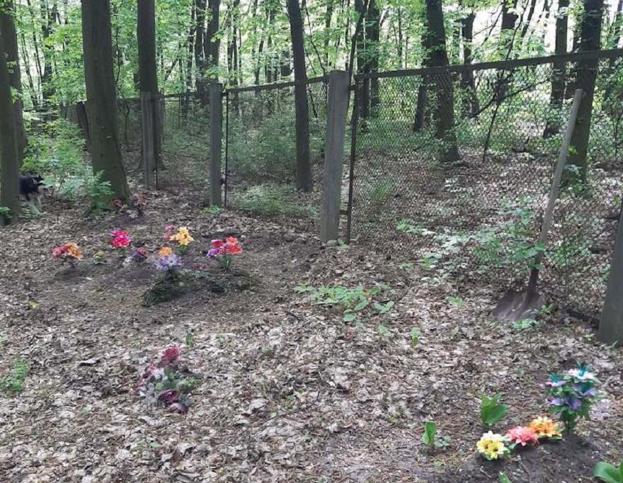 Все як має бути. На Теремках знайшли незаконне кладовище тварин з штучними квітами і огорожами