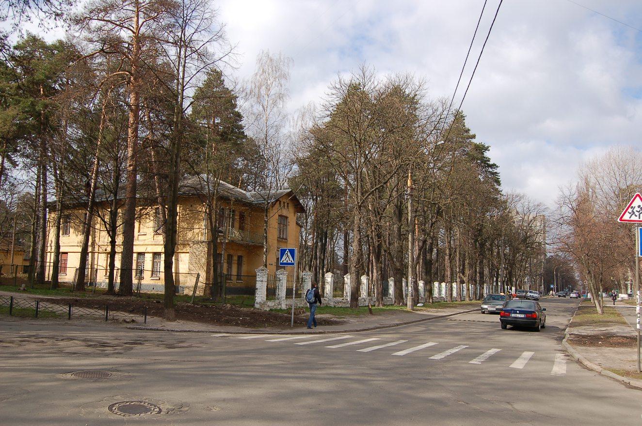 Краще об’їхати: по вулиці Львівській обмежили рух