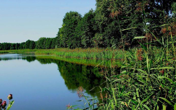 День звільнення Сєвєродонецька, “Панкратій ягідник”. 22 липня в історії: прикмети та заборони