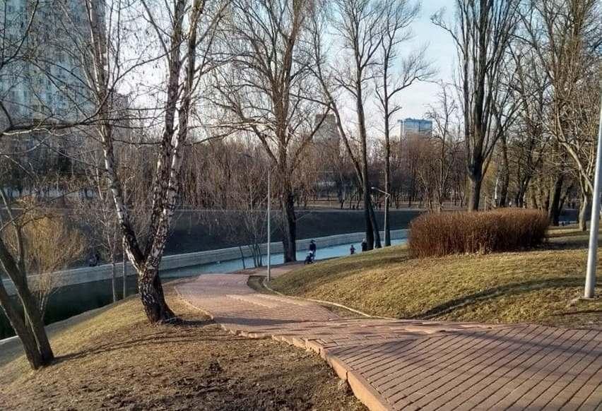 Кричав і трусився: в парку на Відрадному собаку вдарило струмом від стовпа