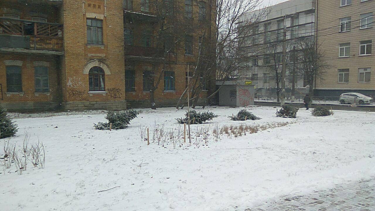 Вандали влаштували “деревопад” на Солом’янці