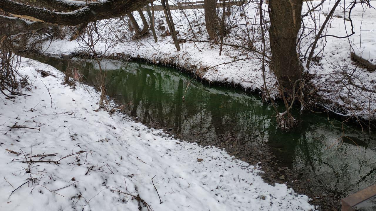 У Києві з позеленілої річки візьмуть пробу води