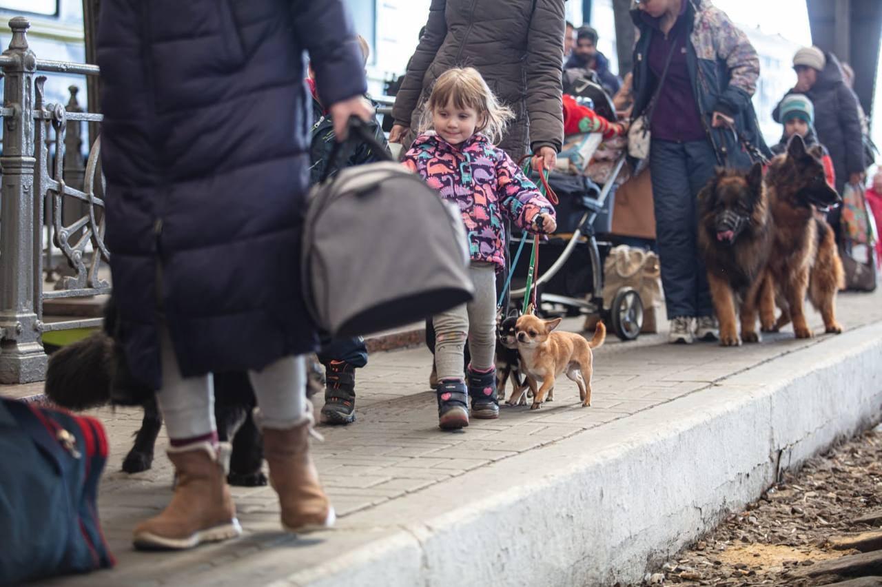 укрзалізниця, переселенці, біженці