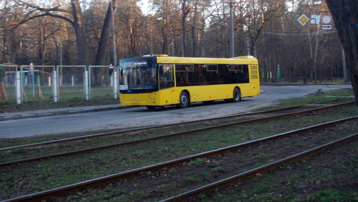автобус 12т