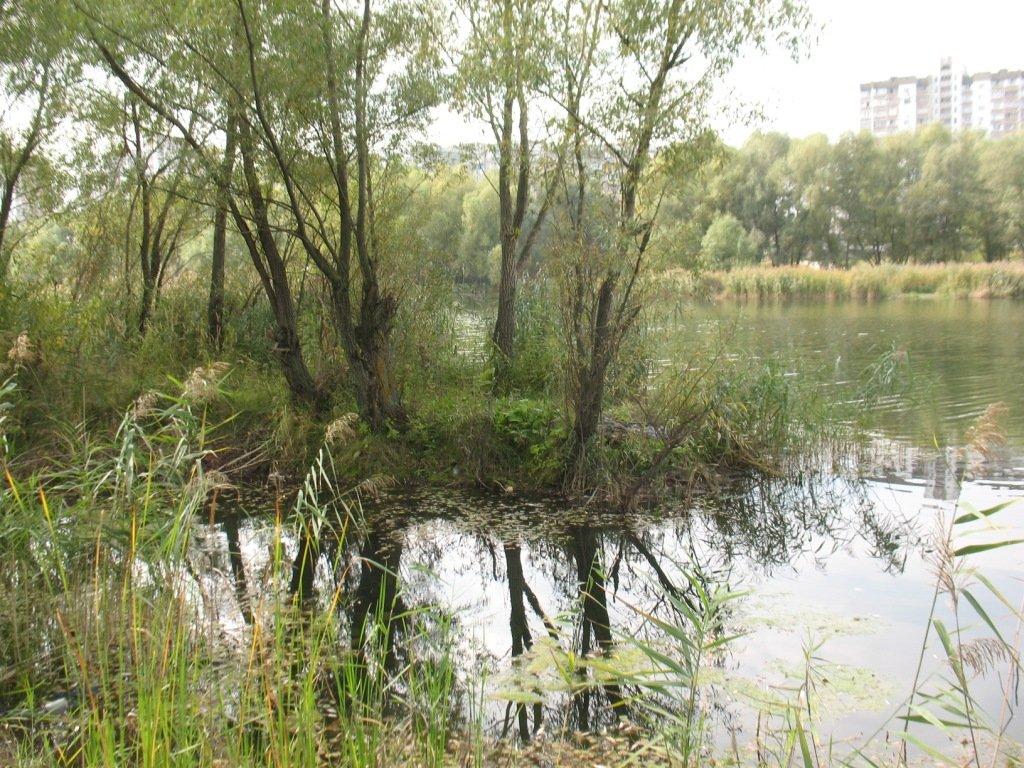 троєщинські луки