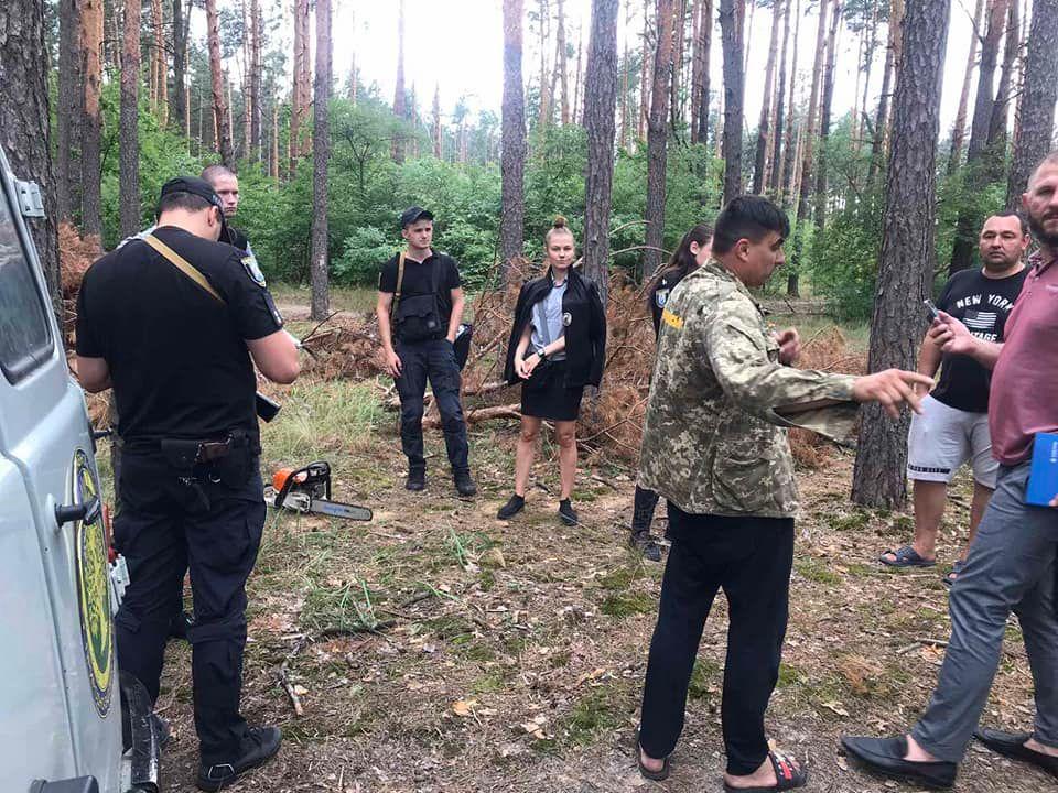 У Голосіївському парку виявили незаконну рубку дерев