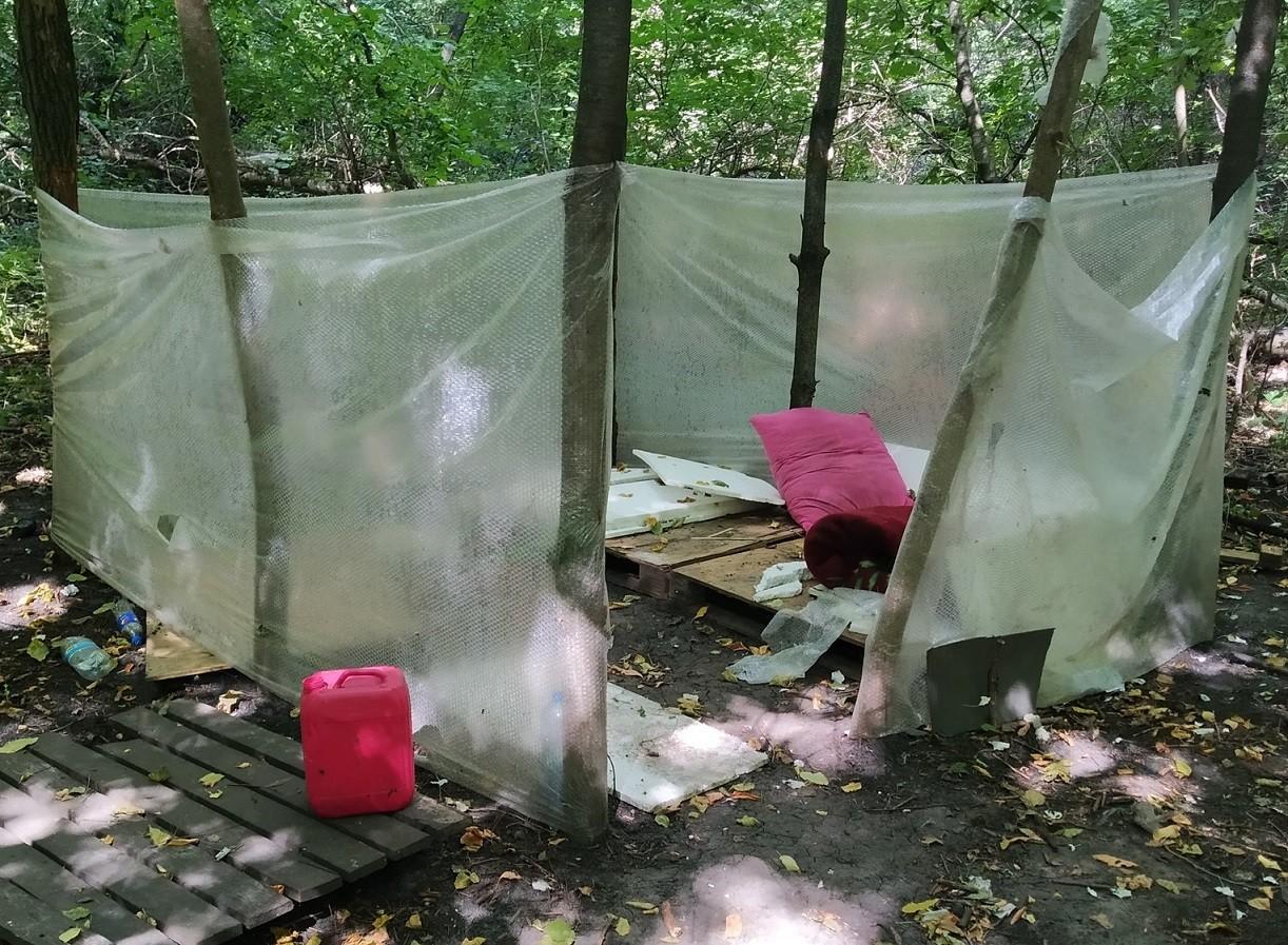 “Халабуди” безхатьків, сміття, кострища, незаконні рубки та велотреки – захисників природи обурив стан урочища у Голосіївському нацпарку