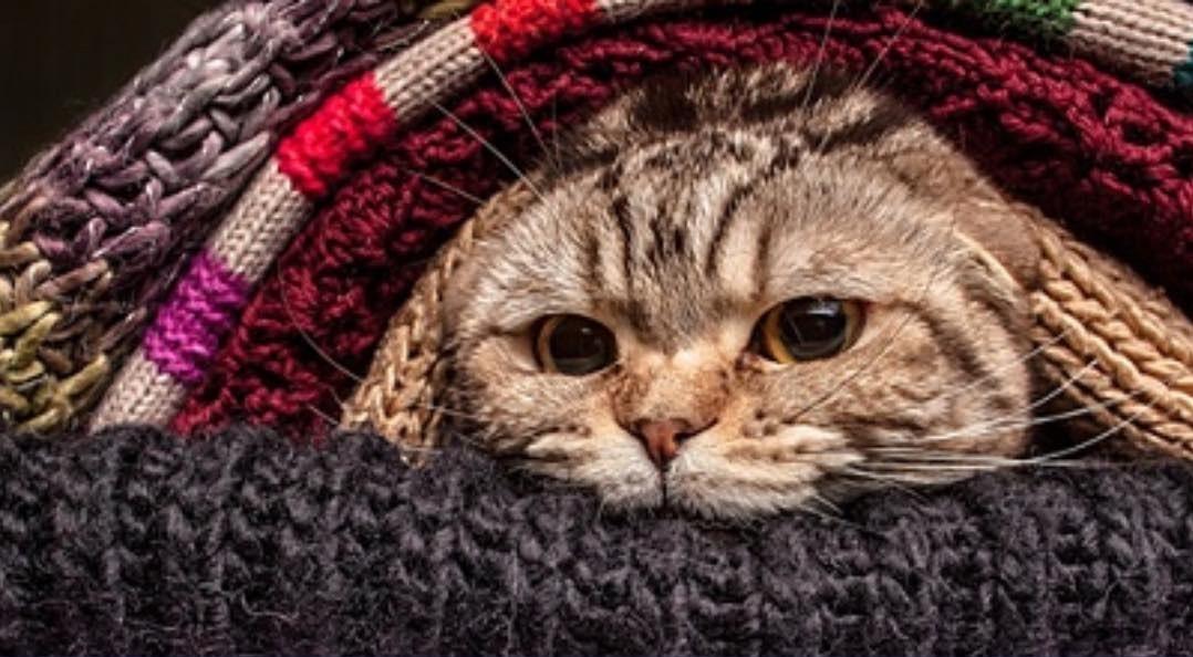 Замерзнемо чи ні? Метеорологи прокоментували “сенсацію” про люту зиму