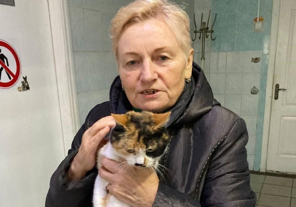 Безкоштовна стерилізація тварин: хто може скористатись і куди звертатись