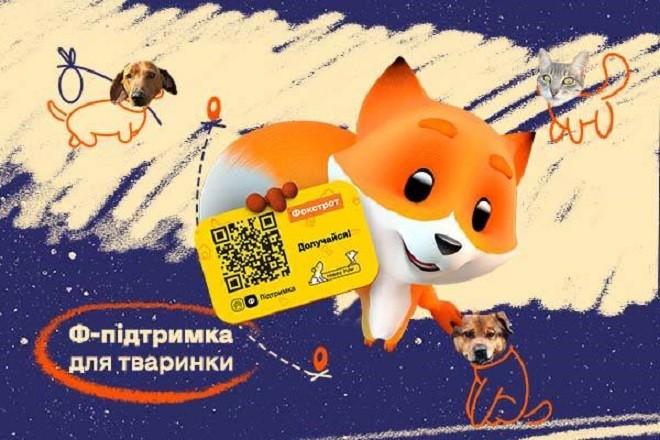 «Ф-підтримка» для тваринок: стартувала нова програма з допомоги евакуйованим тваринам