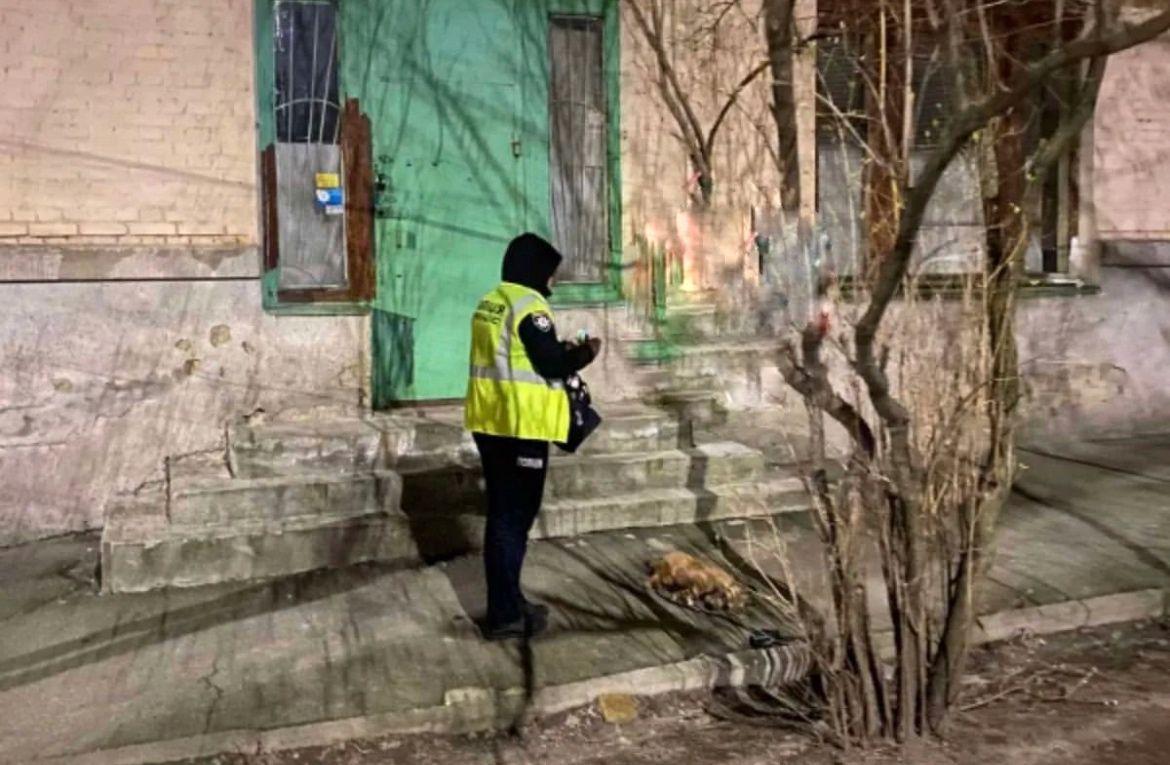 Тепер загрожує покарання: у Києві собаку викинули з вікна багатоповерхівки