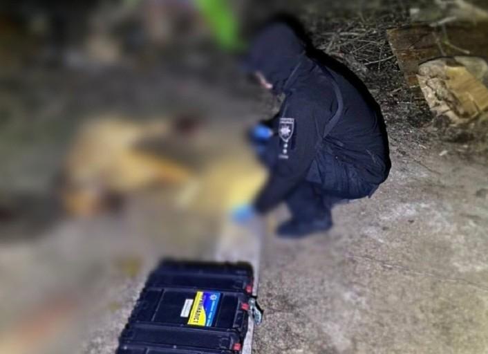 На Київщині чоловік до смерті забив палицею собаку