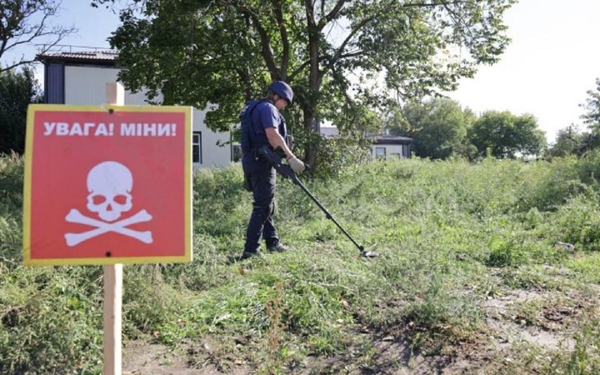 Жителям Київщини дозволили звільнення від податку на землю – умови отримання