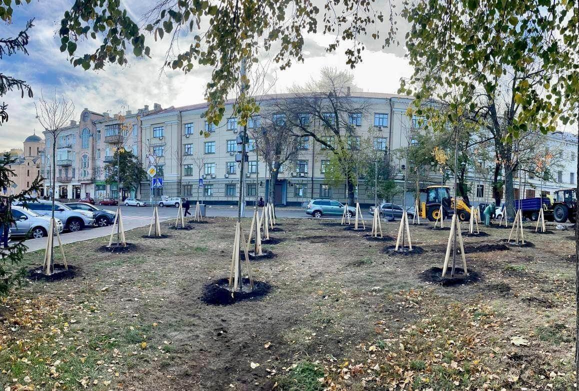 На Контрактовій площі висадили долину сакур