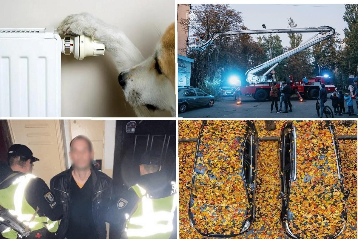 ТОП-3 новини вікенду: як кияни випрошували опалення, небезпечні події з дітьми на дахах та пошук кота, якого бив об асфальт чоловік