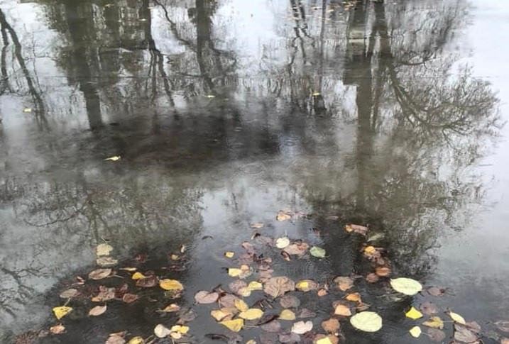 Вівторок у Києві буде похмурим і дощовим, але теплим