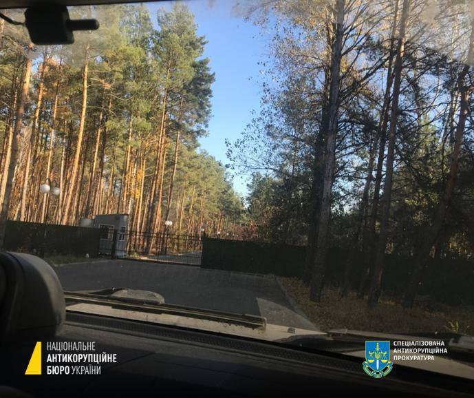 Експосадовець Держгеокадастру віддав у приватні руки понад 2 га лісу на березі Київського моря
