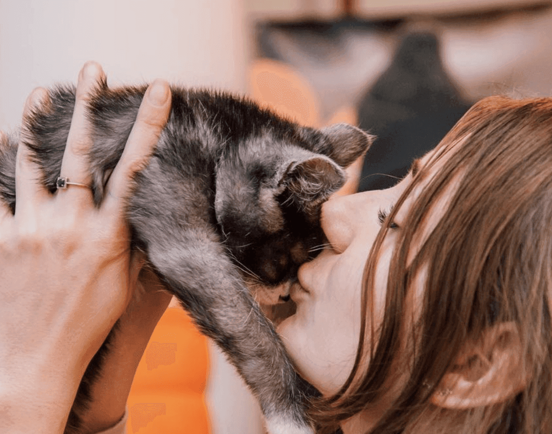 У Києві відбудеться фестиваль AdoptMe Days: знайдіть собі пухнастого друга
