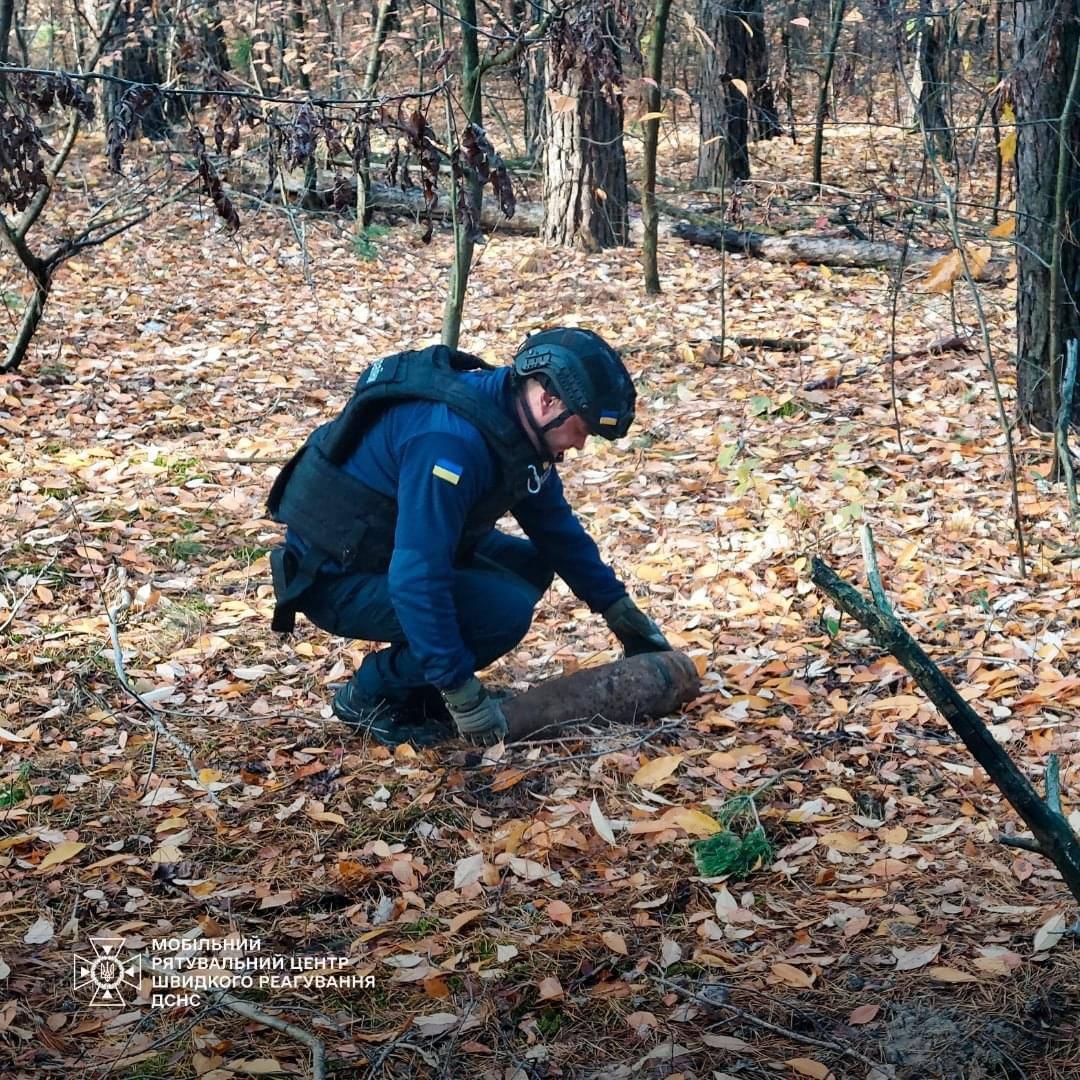 На Бориспільщині грибники натрапили на смертельну пастку