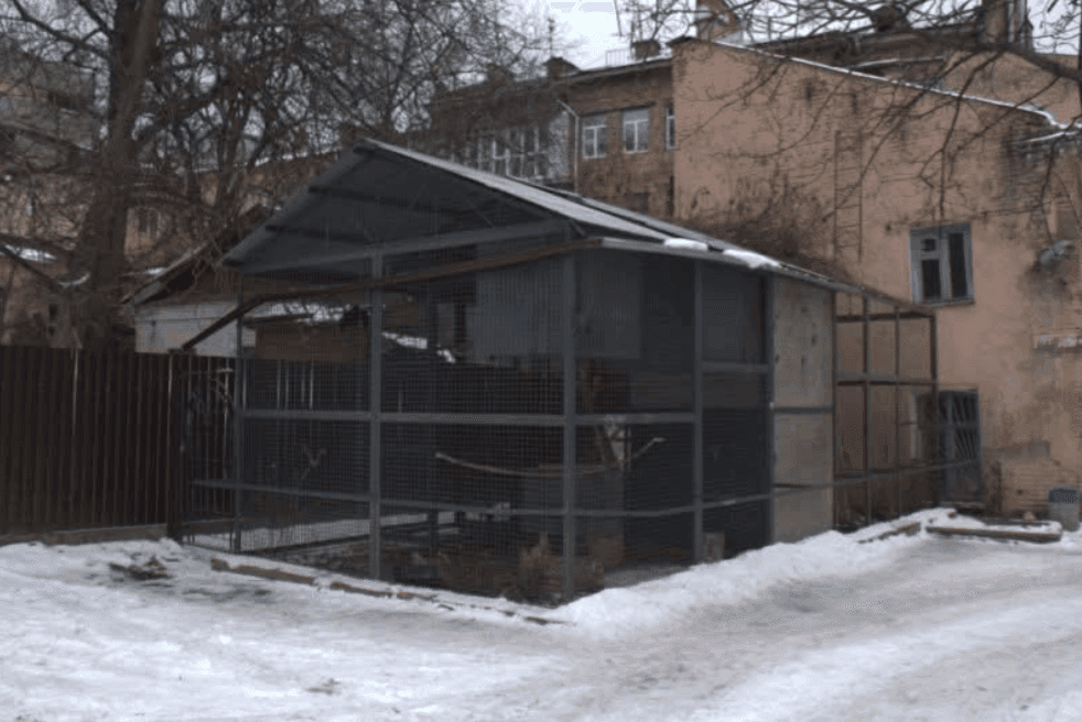 Жодної забудови біля «Дворика з воронами» у Києві не буде – заступник мера