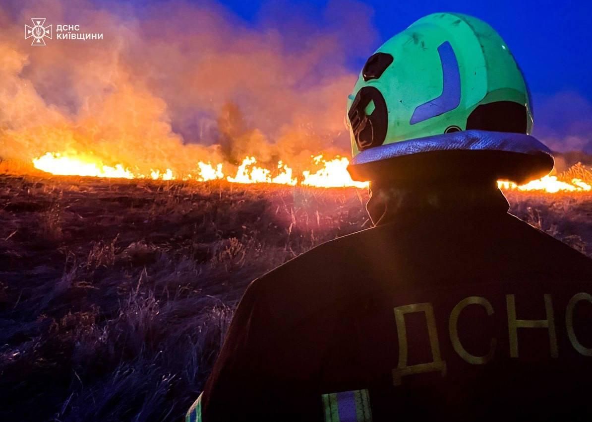 Пожежі в екосистемах Київщини