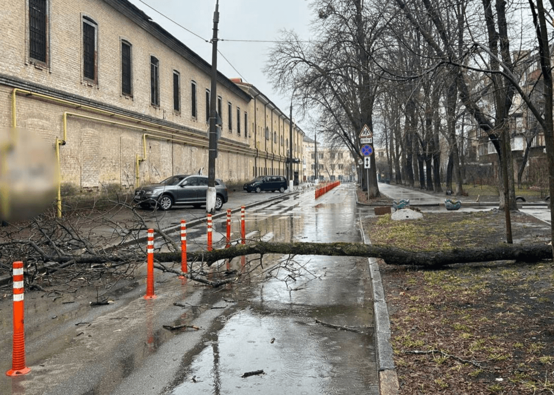 На Печерську повалене дерево перекрило рух транспорту