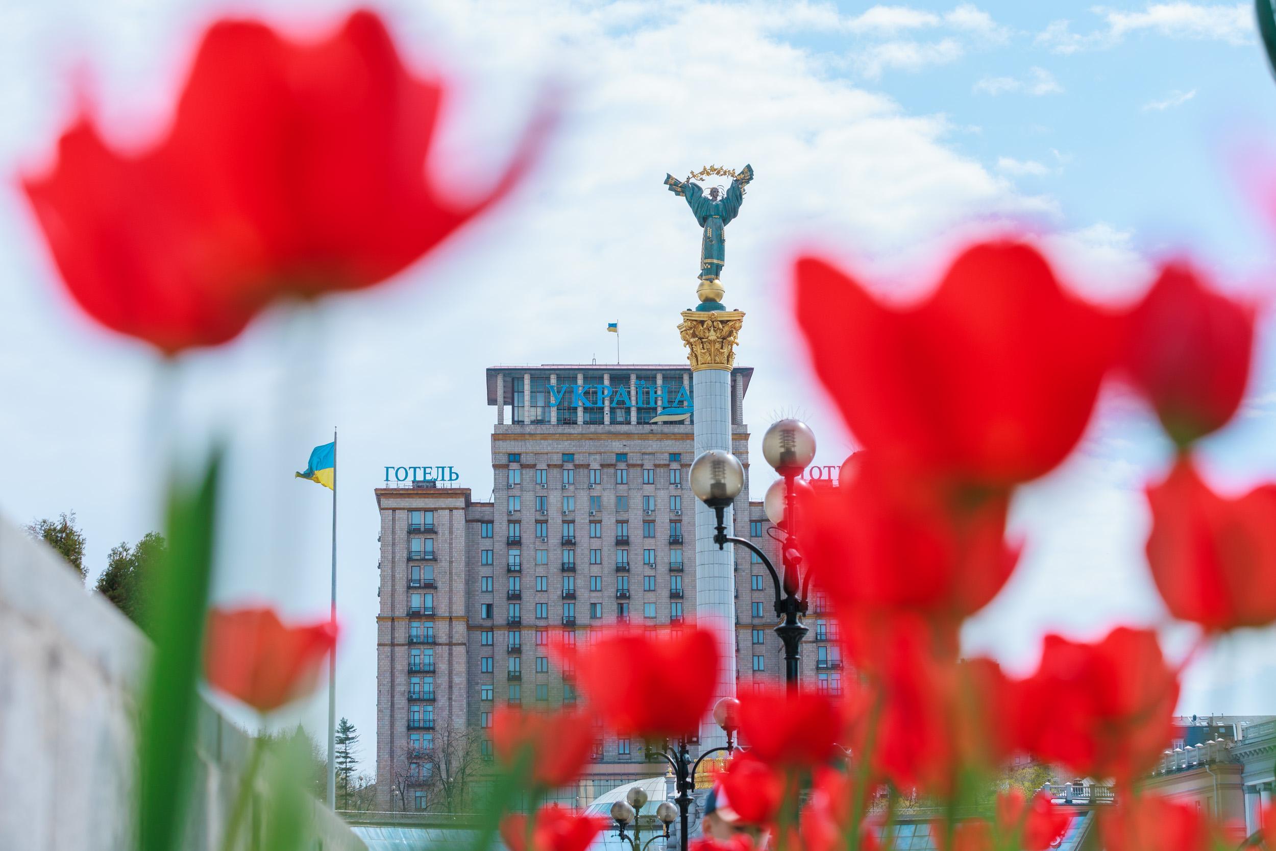 київ тюльпани весна