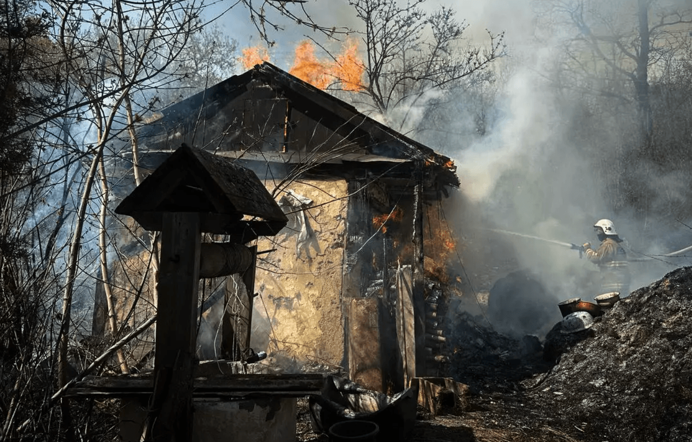 На Київщині селяни вбили вісім свійських тварин, спалюючи траву