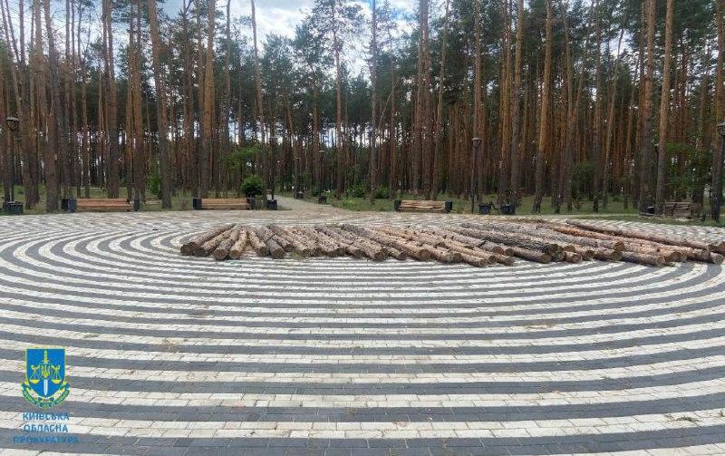 В Гостомелі колишній начальник військової адміністрації спиляв дерев на понад півмільйона гривень