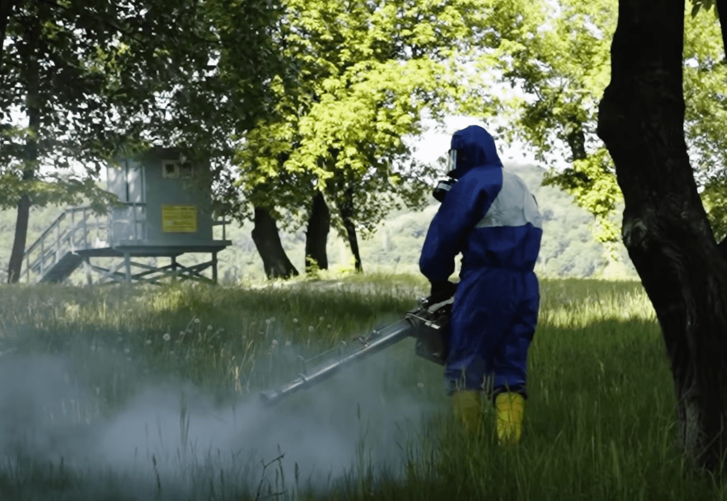 Столичні пляжі та зони відпочинку обробляють від шкідників: наскільки це небезпечно