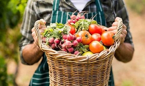 Органічну продукцію в Україні маркуватимуть, як в ЄС: де шукати якісне
