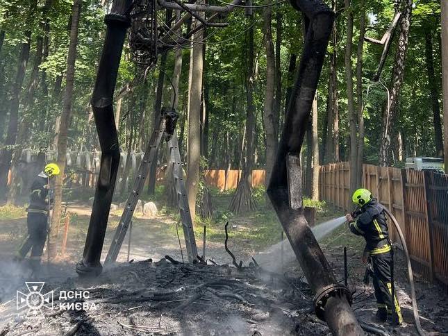 У парку динозаврів на ВДНГ гасили пожежу: що відомо