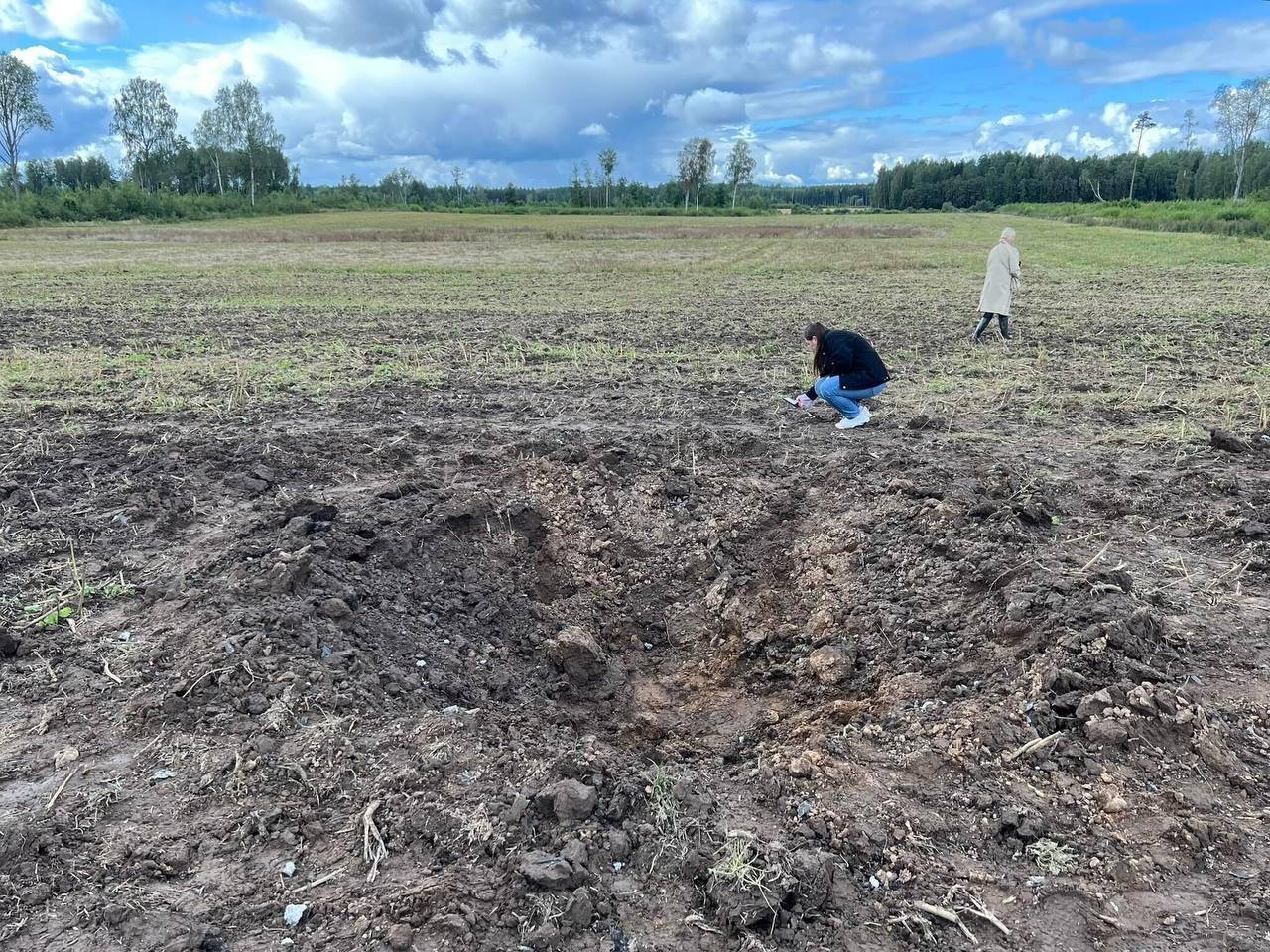В Естонії знайшли уламки ударного дрона, ймовірно українського, що збився з курсу через російське глушіння