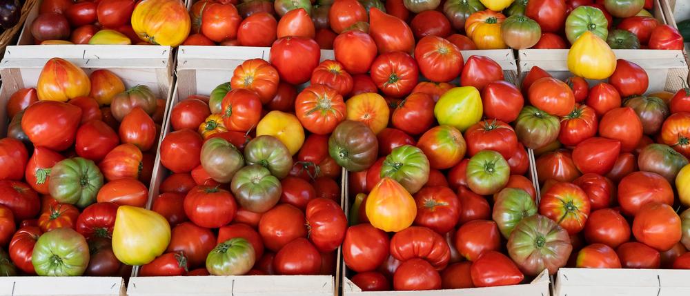 Де у Києві цього тижня проходитимуть продуктові ярмарки: локації