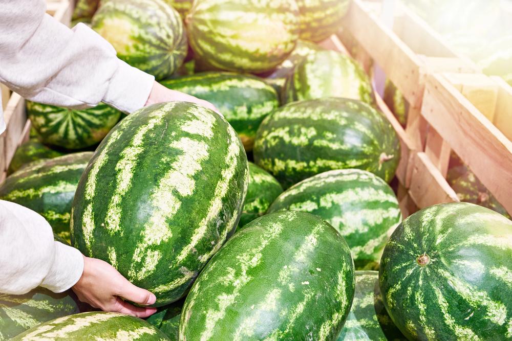 Де у Києві сьогодні проходять продуктові ярмарки: локації